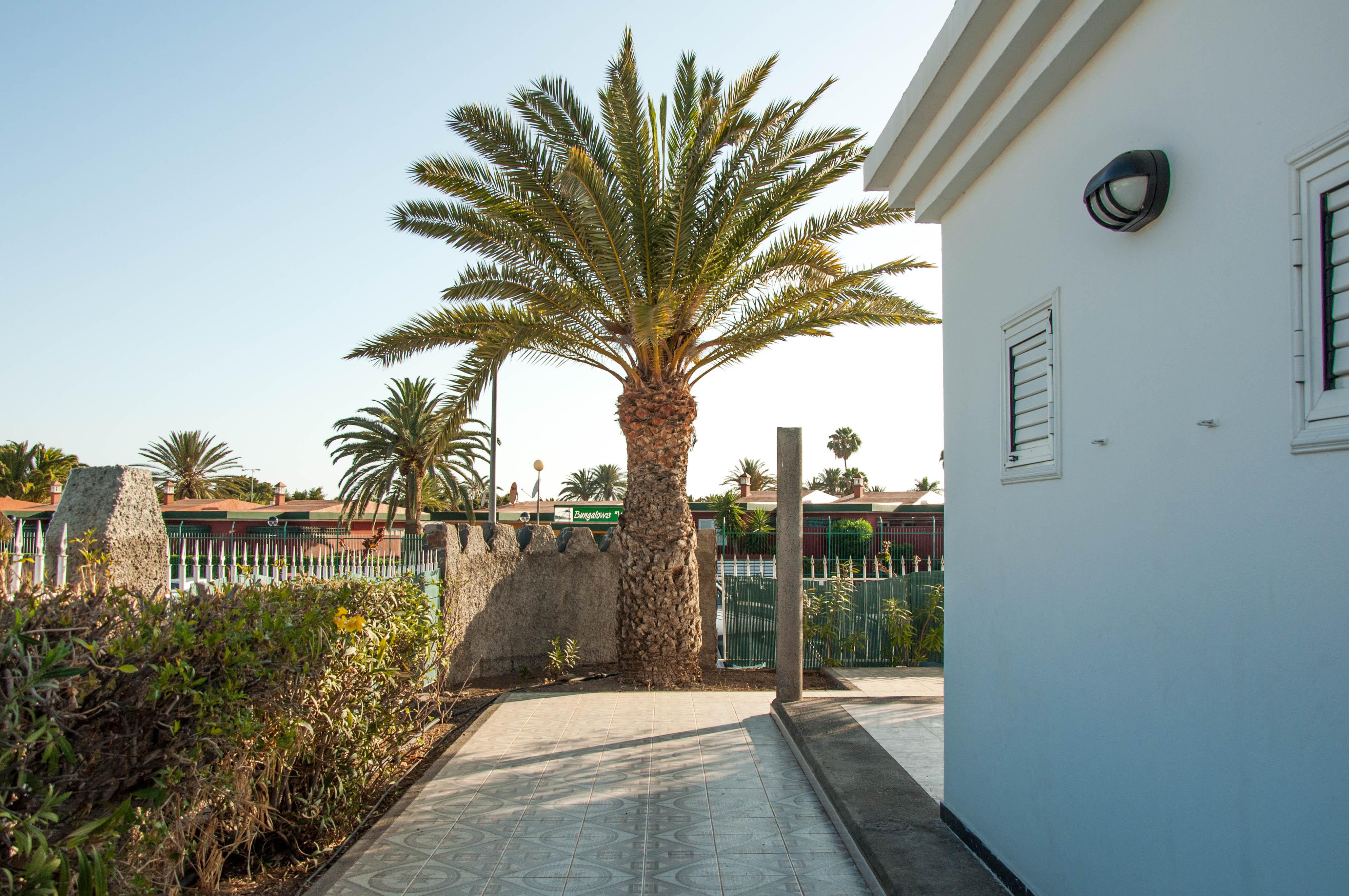 Bungalows Las Almenas Maspalomas  Exterior foto