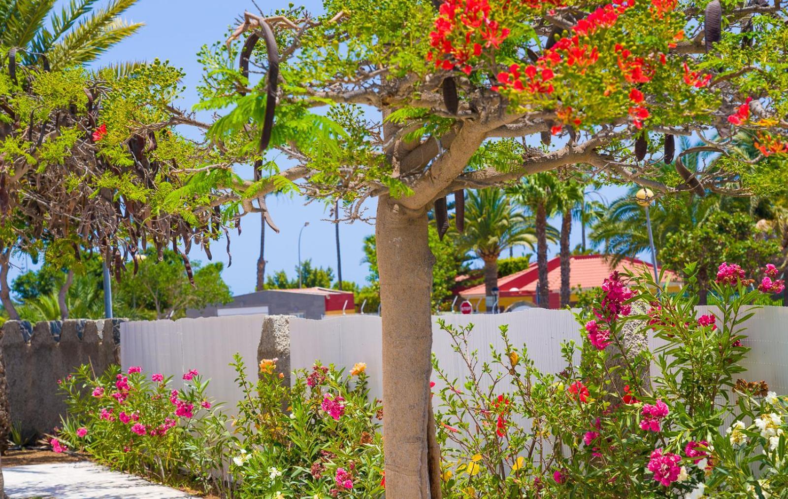 Bungalows Las Almenas Maspalomas  Exterior foto